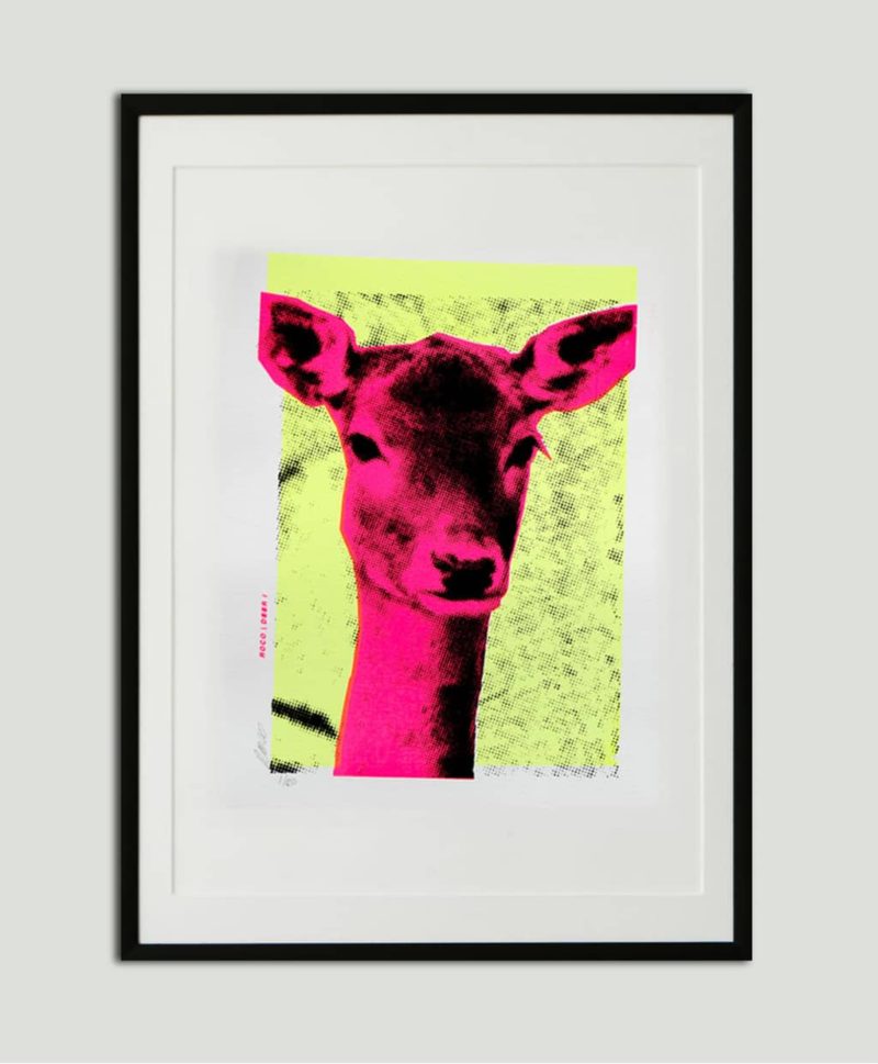 Deer 1 - Image 2