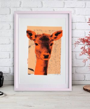 Deer 2