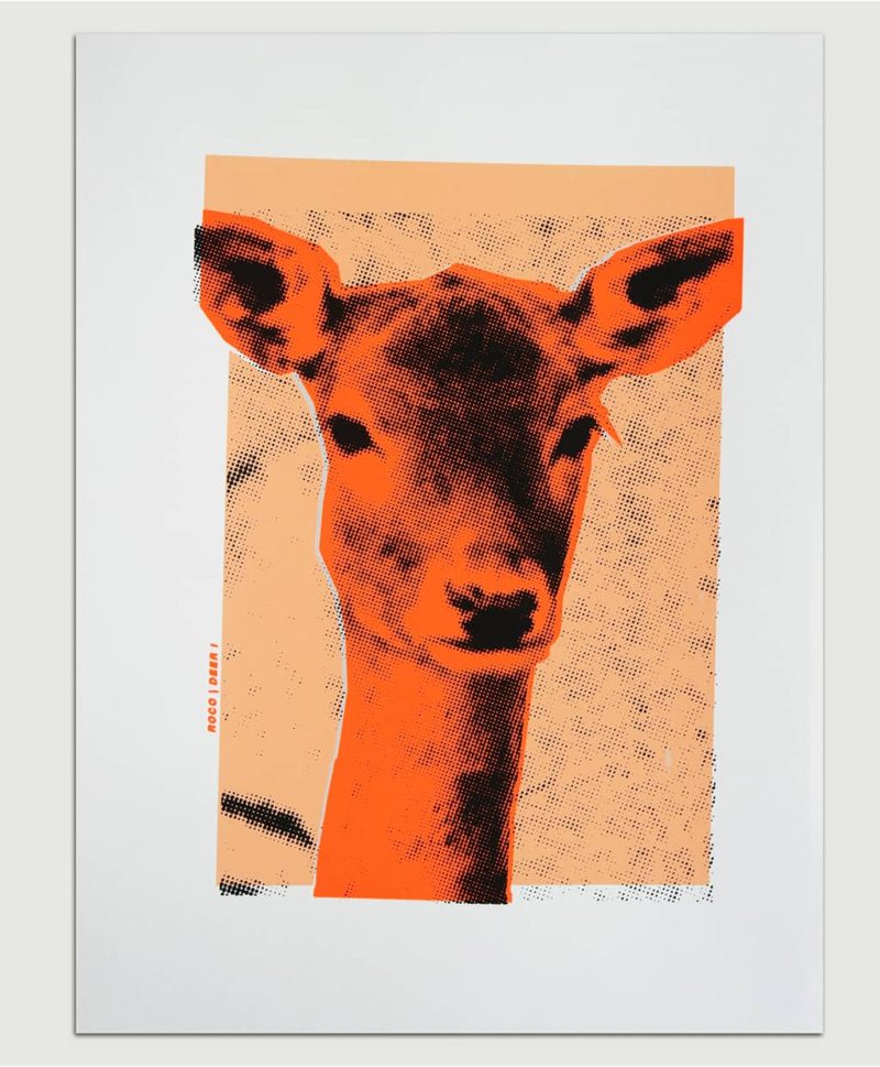 Deer 2 - Image 2
