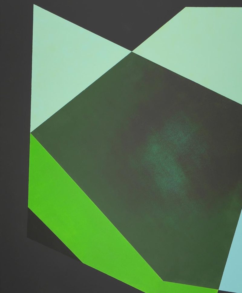 Green Whale - Image 5
