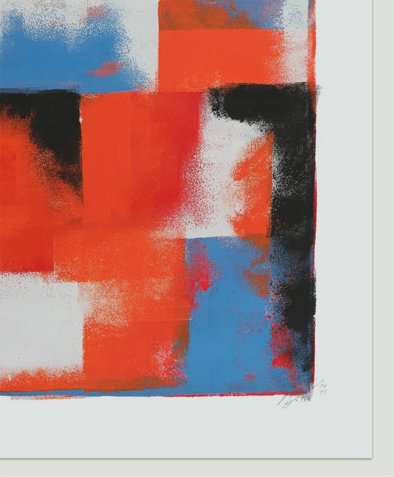 Orange Mix - Image 4